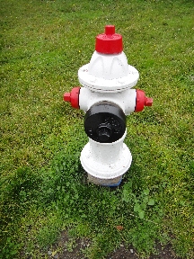 Close-up of a white-with-red fire hydrant